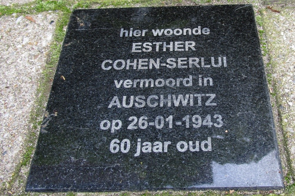 Memorial Stones Bekensteinselaan 42 #3