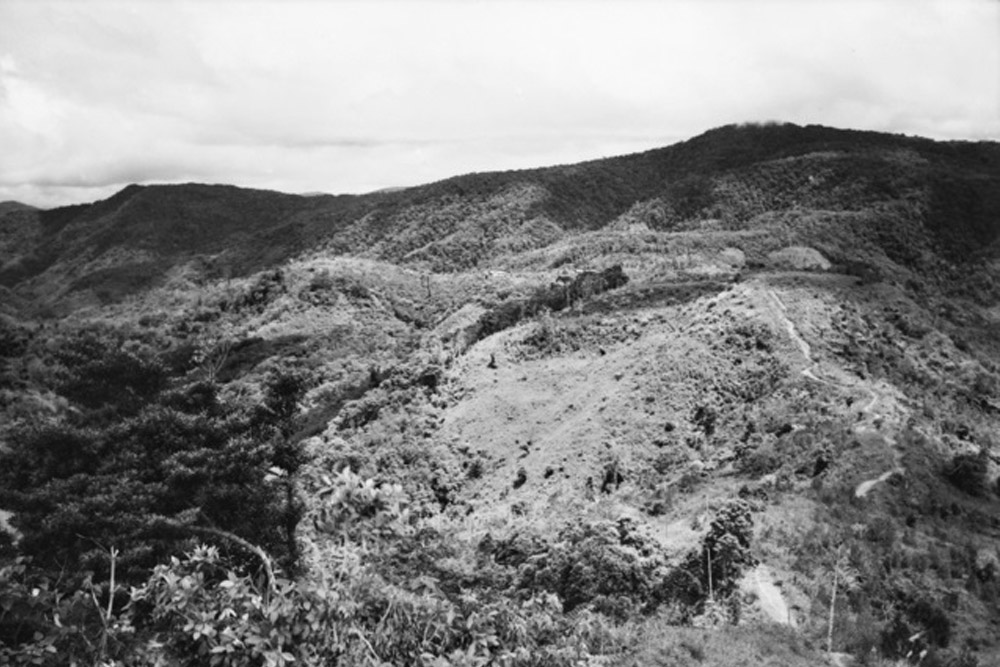 Kokoda Trail - Brigade Hill #1