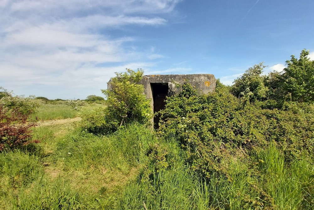 Pillbox FW3/24 Chelmsford