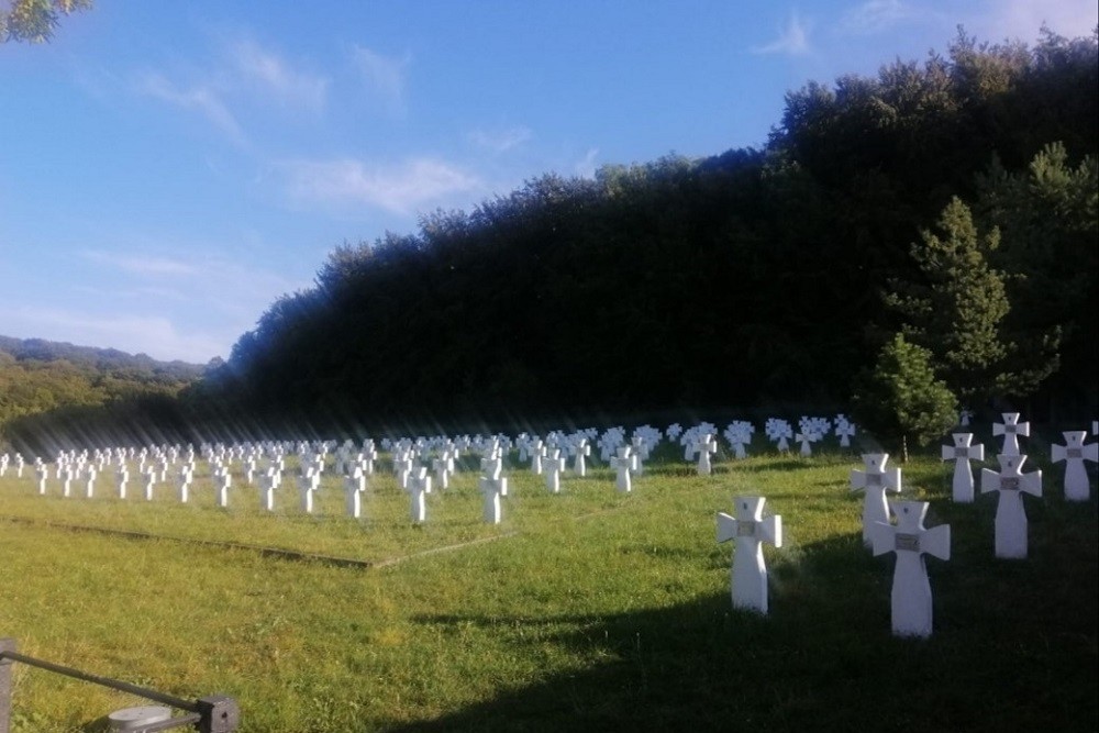 Ukranian War Cemetery Chervone #3