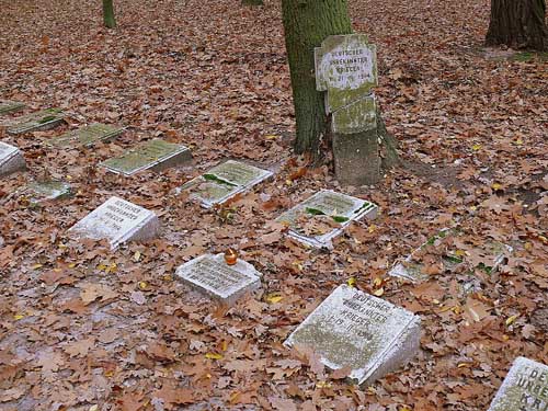 German-Russian War Cemetery Gadka Stara #3