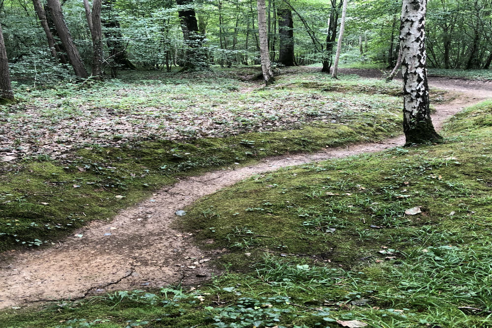 Site de Memóire - Belleau Wood #4