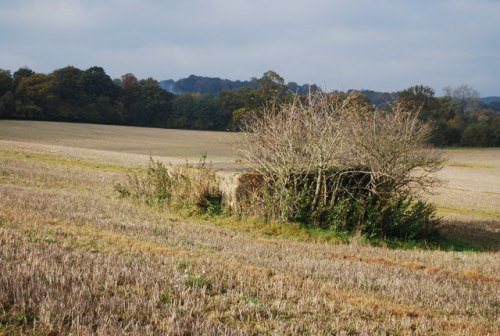 Pillbox FW3/24 Groombridge