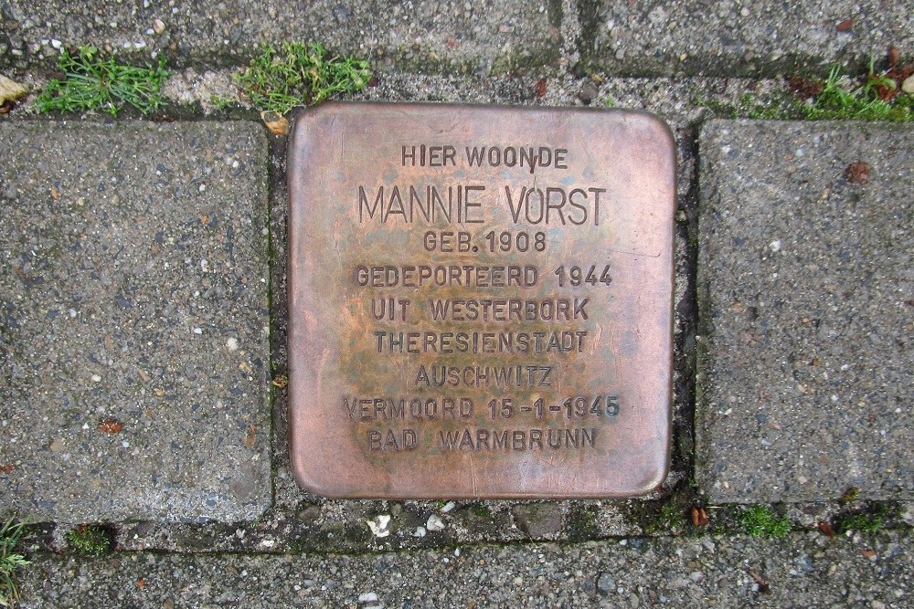 Stolperstein Waldeck Pyrmontlaan 8