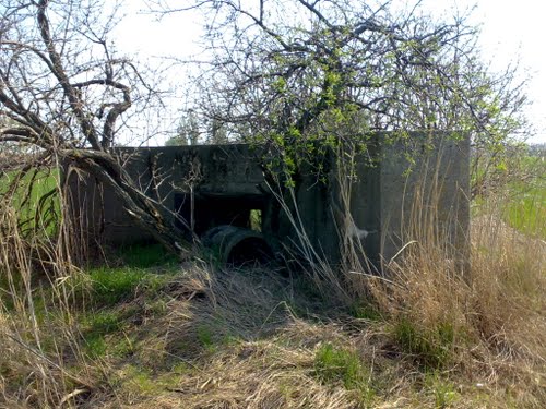 Beneova Line - Firing Wall