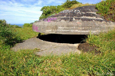 Fort Dorset #4