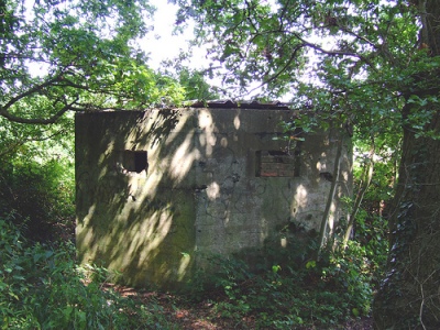 Tank Barrier and Pillbox Epsom #2