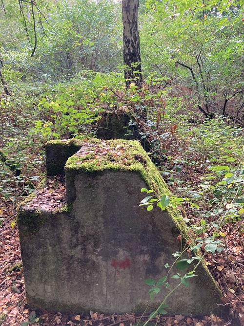 Remains of the Rundbogenhalle/Bow Hangar Fliegerhorst Venlo #4