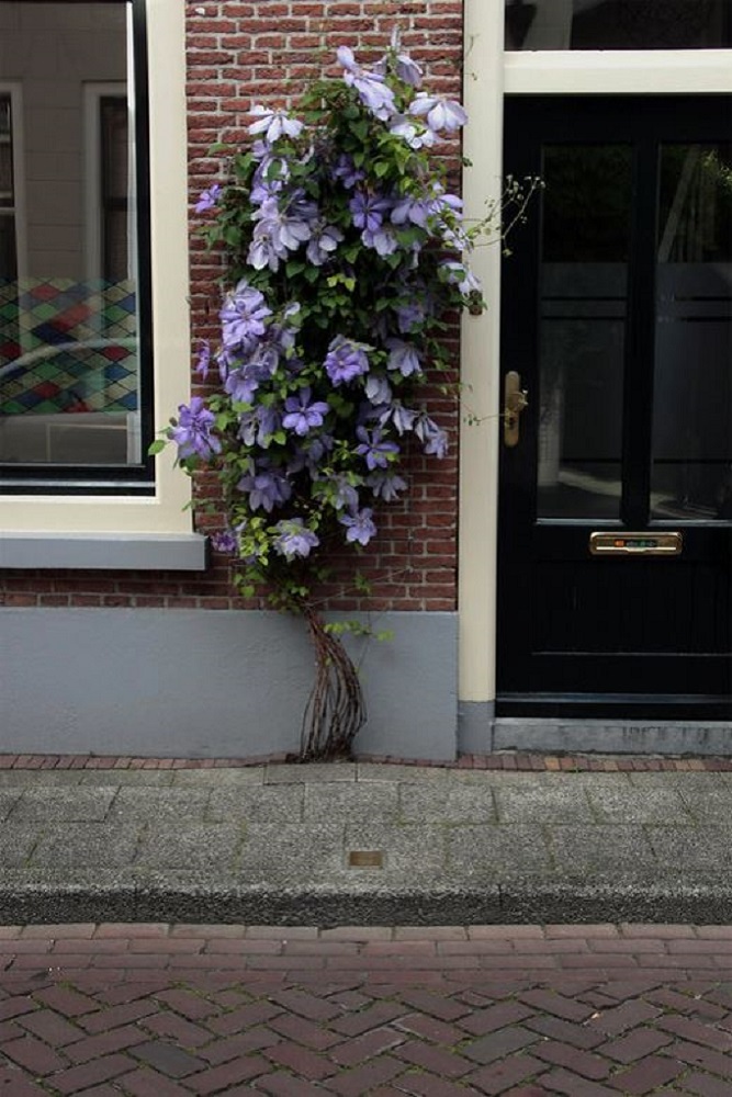 Stumbling Stone Boven Nieuwstraat 59 #2