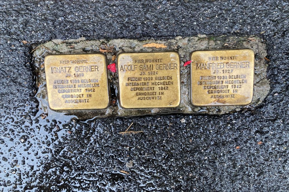 Stolpersteine Eltviller Strae 6 #1