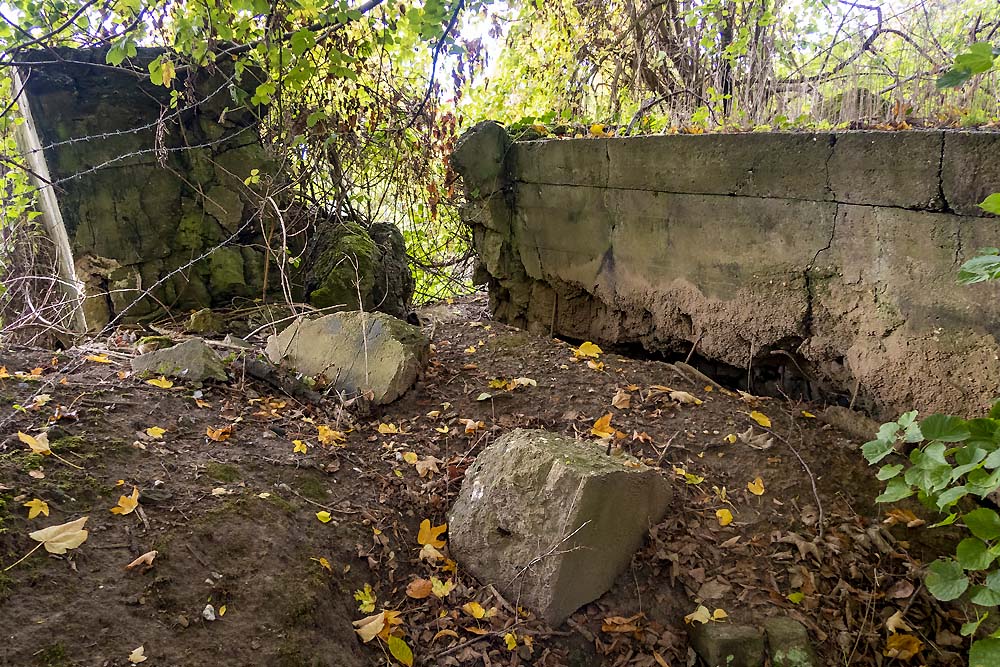 Remains Bunker Verlautenheide #1