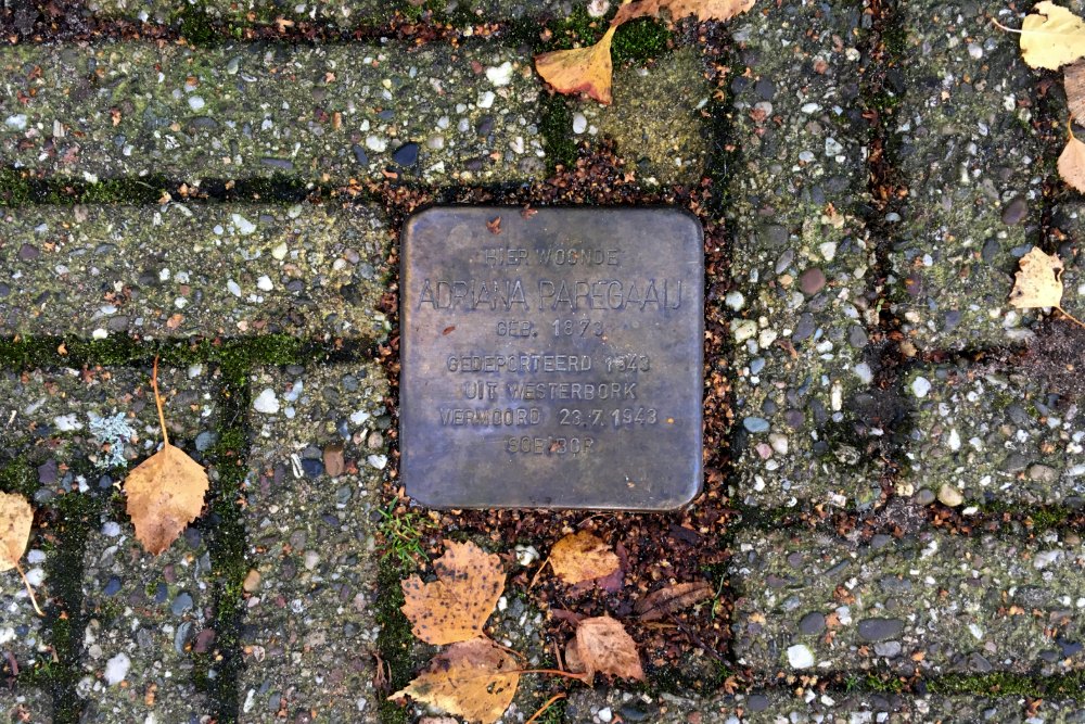 Stolperstein Hoge Larenseweg 220