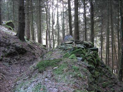 Westwall - German Field Positions