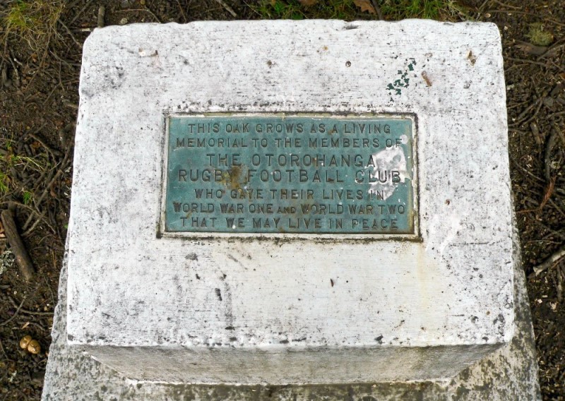 War Memorial Otorohanga #2