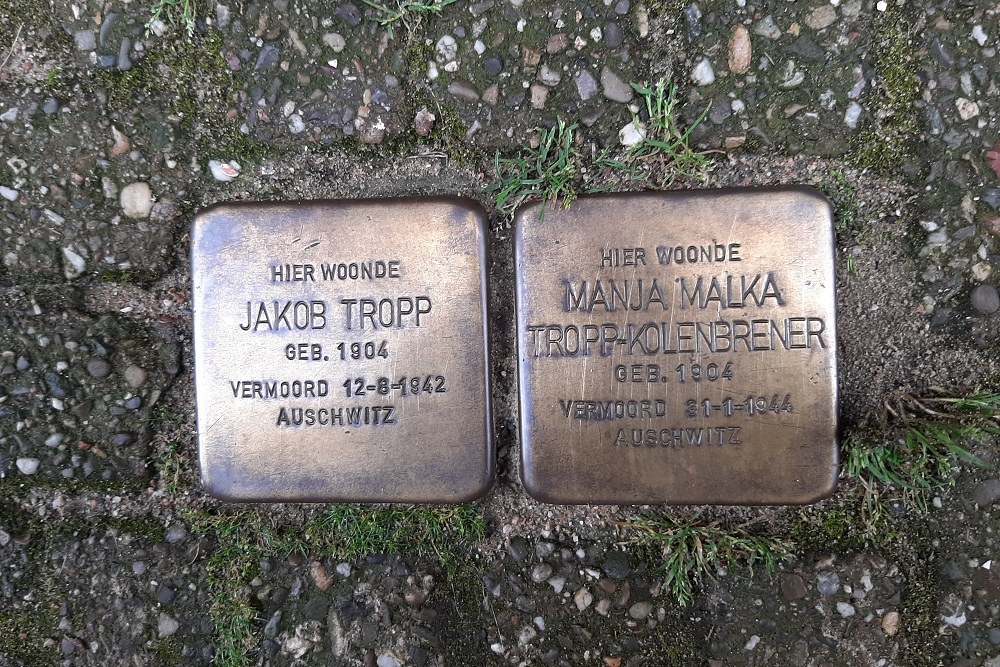 Stolpersteine Manegestraat 36 (voorheen 10) #1