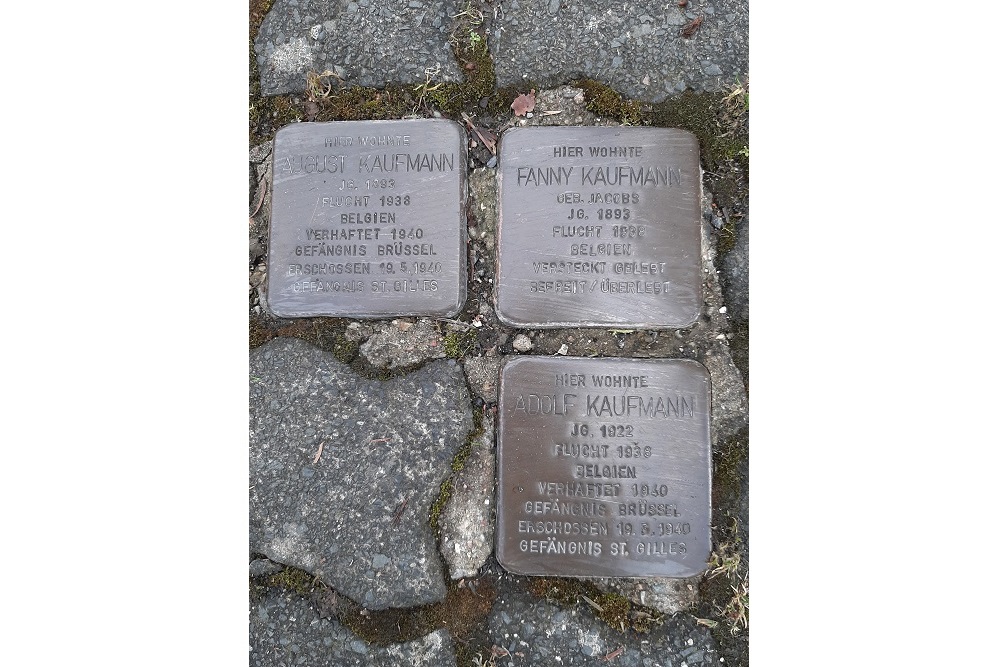 Stolpersteine Hhenbergringstrae 7 #1