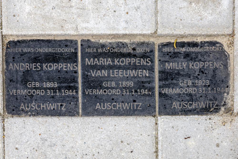 Memorial stones Koppens Family #4