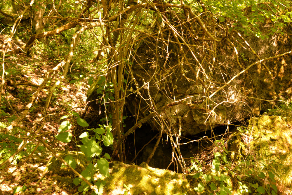 Westwallbunker Regelbautyp 107