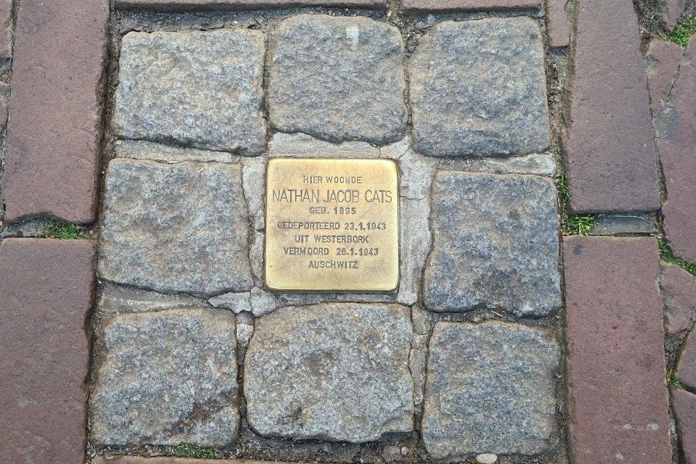 Stolperstein Kleiweg 67 #5