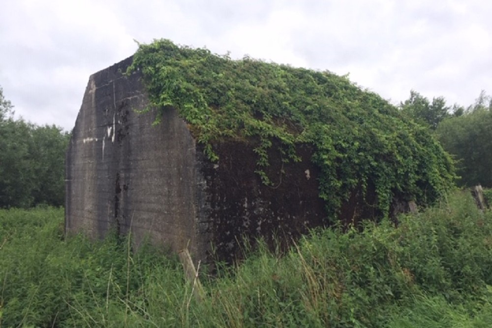 Groepsschuilplaats Type P Diefdijk