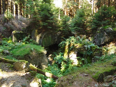 Bunker Nr. 113 op Ochsenkopf #2