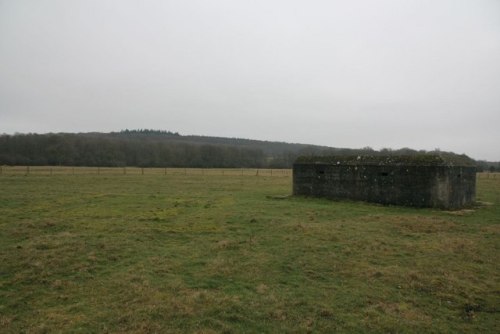 Infantry Bunker Tidmarsh #2