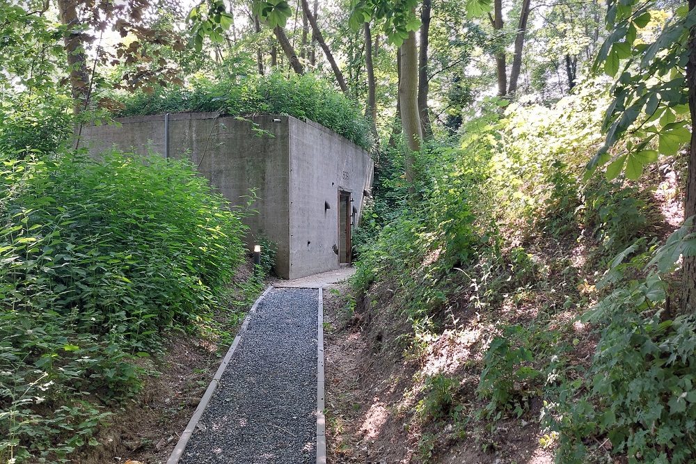 V.I.S.-Casemate Batterijen aan de Overeindseweg