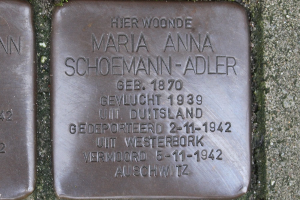 Stolpersteine Von Suttnerstraat 6 #3