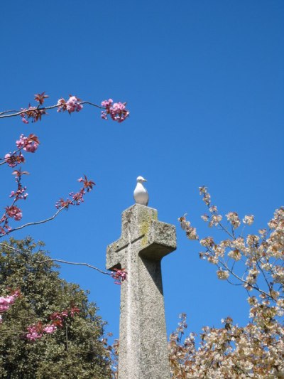 War Memorial Kimberley Park #1