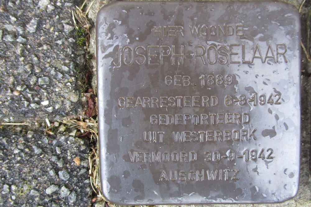 Stolpersteine Transvaalkade 54 & 54/1 #3