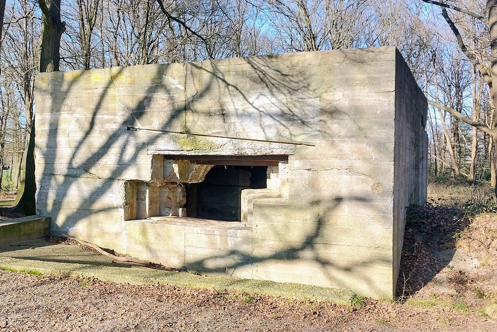 Pantherstellung - Bunker R003-P #2