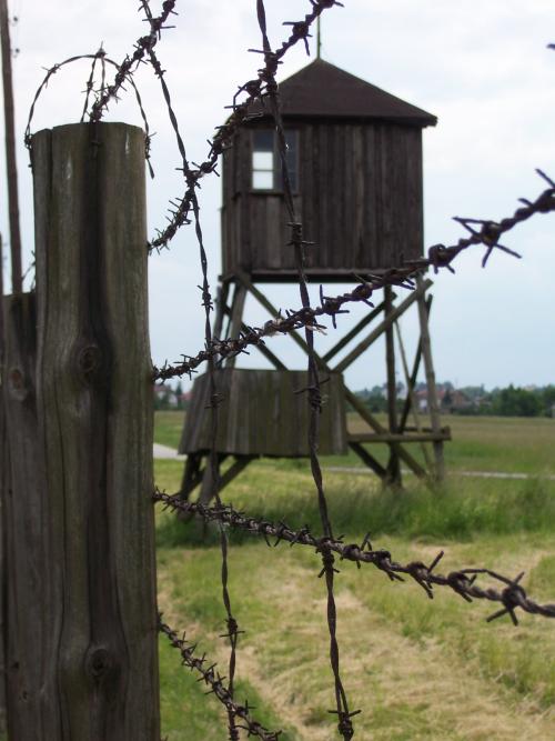 Concentration Camp Majdanek #2
