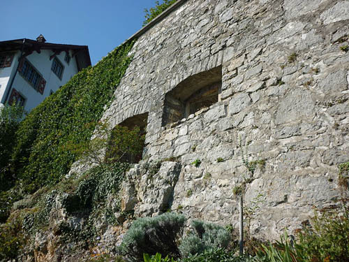 Limmatlinie -  Schietgat & Observatiepost Regensberg