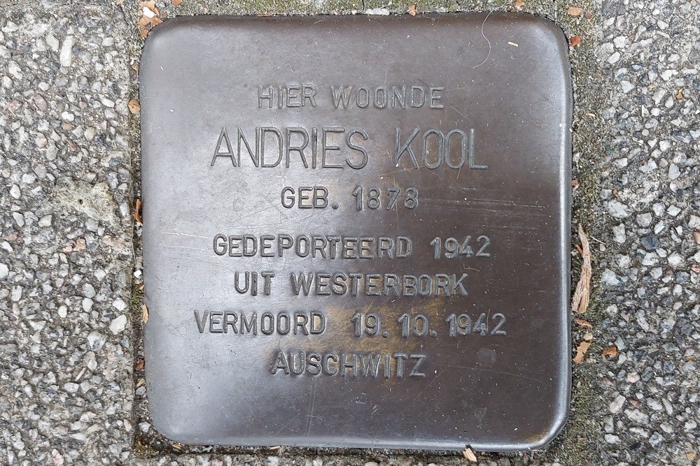 Stumbling Stone Stationssingel 71 #2