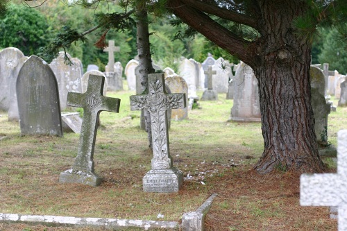 Oorlogsgraven van het Gemenebest St Nicholas Churchyard #1