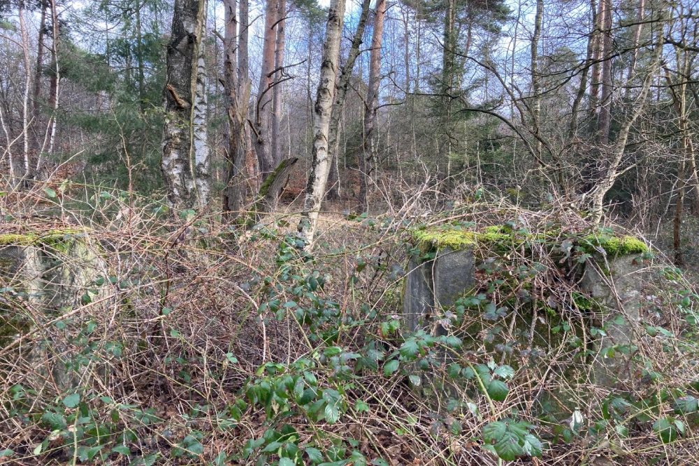 Remains Rundbogenhalle Sudlager Fliegerhorst Venlo #1