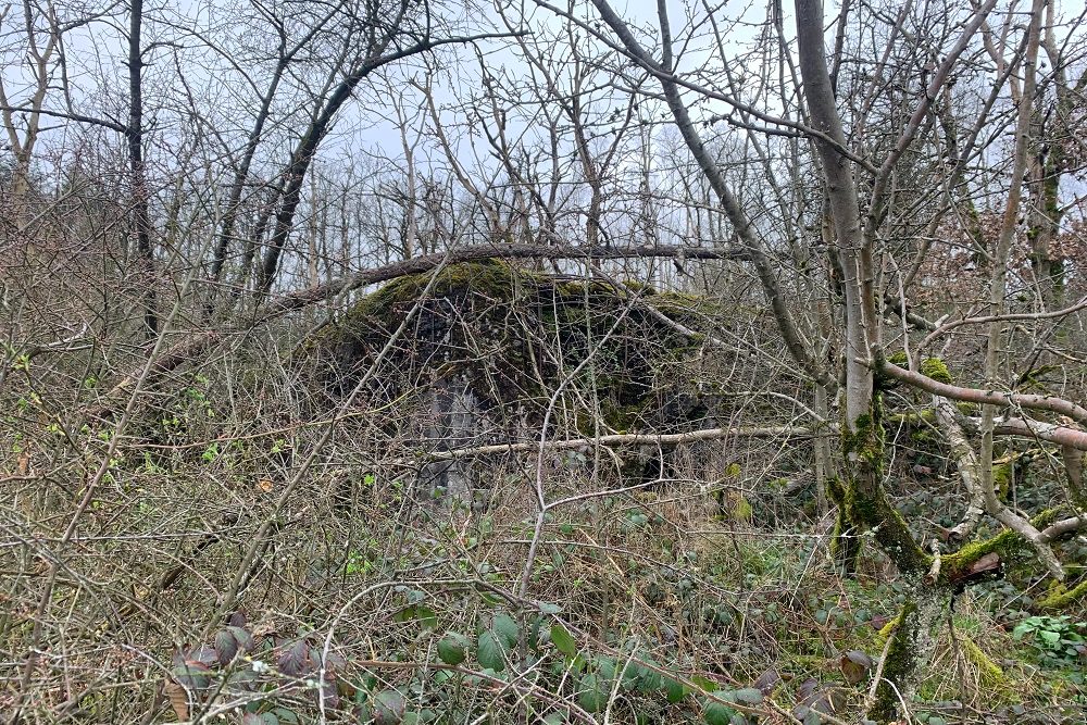 Bunker BV 3 Spixhe #2