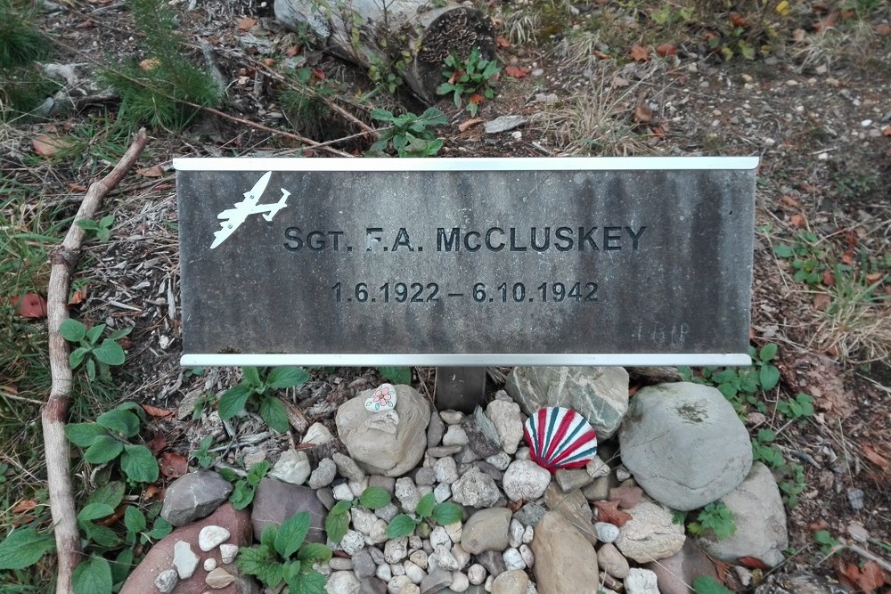 Monument Sgt. F.A. McCluskey #1