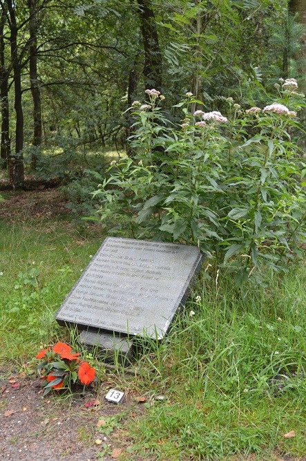 Monument Vliegtuigcrashes Heerde #2