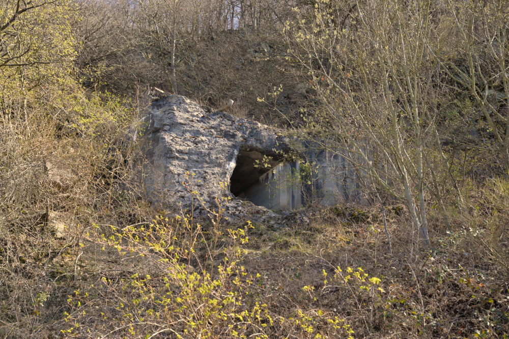 Bunker 303 Westwall Kermeter #1