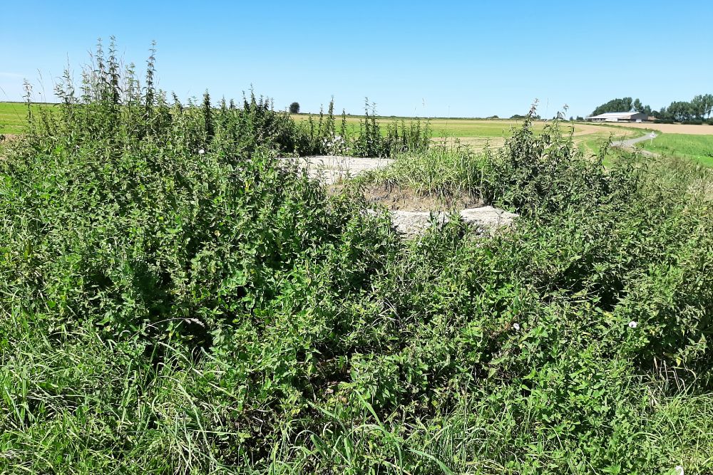 British Observation Post Bunkers Auchonvillers #5