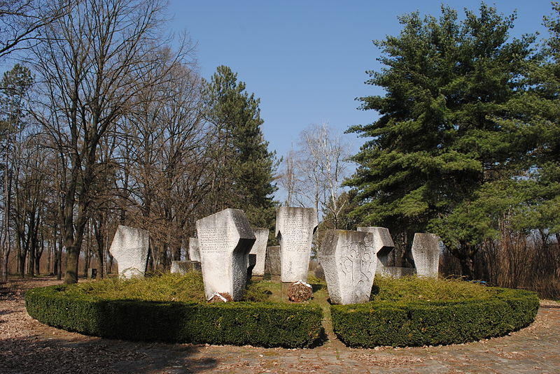 Monument Omgekomen Partizanen Simicev Salas #1