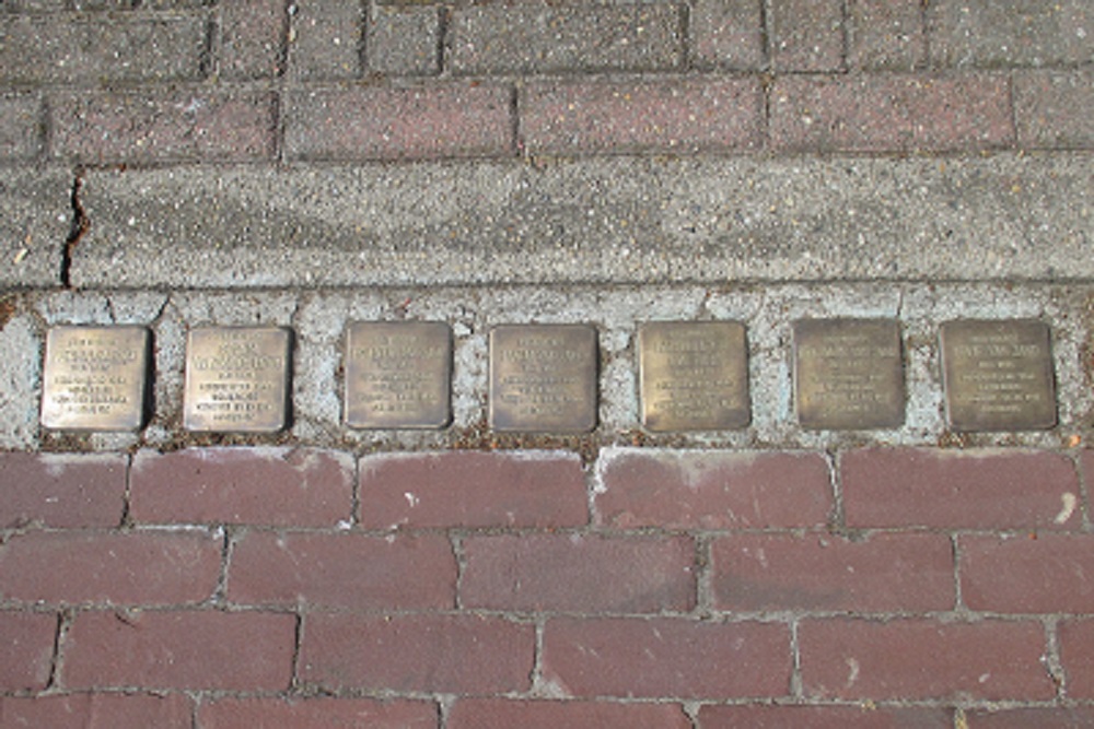 Stolpersteine Hanekampswijk 42 #1