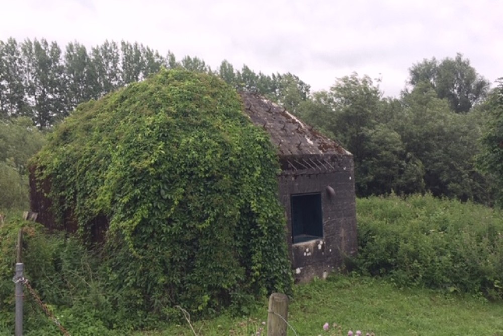 Groepsschuilplaats Type P Diefdijk #2