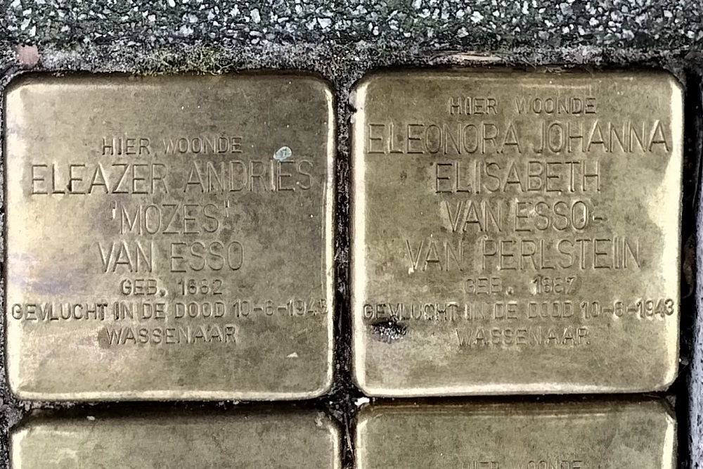 Stolpersteine Heemraadssingel 249 #2