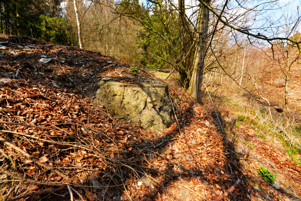 Bunker P115 Ochsenkopf #4