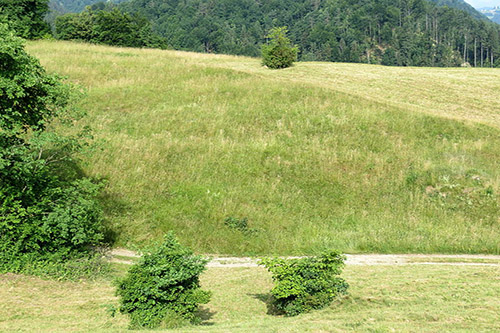 Mass Grave German Prisoners of War 