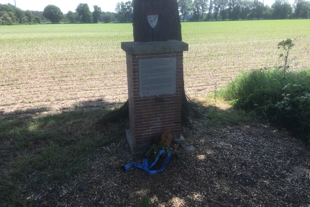 Monument Walter Nowotny #1