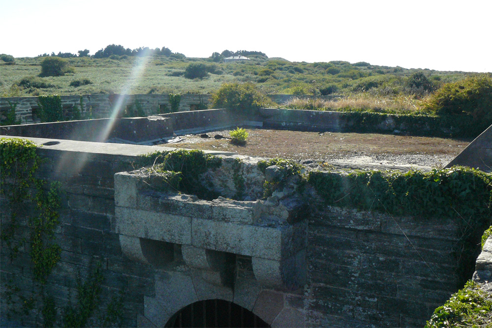 Fort du Bas-Grognon #1