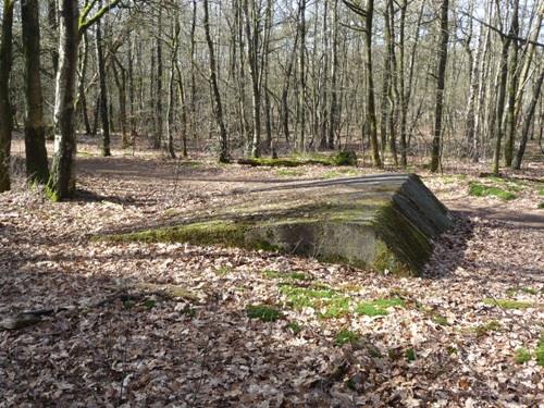 Group Shelter Type 1918/I De Fransche Kamp #2